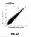 Fig. 07 - Methods and compositions for red-shifted chromophore substitution for optogenetic applications