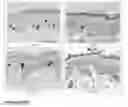 Fig. 57 - PEPTIDES, AND USES THEREOF