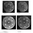 Fig. 64 - PEPTIDES, AND USES THEREOF