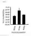 Fig. 06 - METHOD FOR IMPROVING PROTEIN EXPRESSION, AND COMPOSITION FOR PROTEIN EXPRESSION