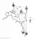 Fig. 16 - Modified integrin polypeptides, modified integrin polypeptide dimers, and uses thereof