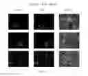 Fig. 04 - Compositions and methods for increasing the expression and signalling of proteins on cell surfaces