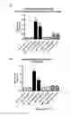 Fig. 02 - Immunological Targeting of Pathological Tau Proteins