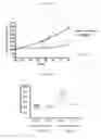 Fig. 05 - NOTCH1 RECEPTOR BINDING AGENTS AND METHODS OF USE THEREOF