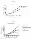 Fig. 08 - NOTCH1 RECEPTOR BINDING AGENTS AND METHODS OF USE THEREOF