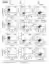 Fig. 10 - Chimeric antigen receptors and methods of making