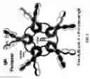 Fig. 02 - Modified J-chain