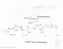 Fig. 01 - Multigraft copolymer superelastomers by emulsion polymerization