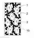 Fig. 01 - Polymer dispersed liquid crystal elastomers (PDLCE)
