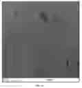 Fig. 06 - Chitin nanowhisker composites and methods