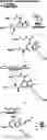 Fig. 117 - Cyanine dyes