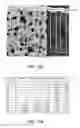 Fig. 15 - METHOD FOR PROTECTING ARTICLE FROM SULFATE CORROSION AND ARTICLE WITH IMPROVED RESISTANCE TO SULFATE CORROSION