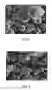 Fig. 02 - METHOD FOR THE MANUFACTURE OF A FORMULATION AND FORMULATION