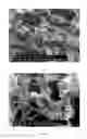 Fig. 02 - Method for producing a suspension of microfibrillated cellulose, microfibrillated cellulose and its use