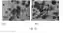 Fig. 13 - Encapsulation and controlled delivery of strong mineral acids