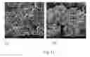 Fig. 17 - Encapsulation and controlled delivery of strong mineral acids
