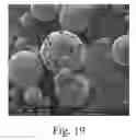 Fig. 20 - Encapsulation and controlled delivery of strong mineral acids