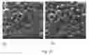 Fig. 26 - Encapsulation and controlled delivery of strong mineral acids