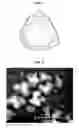 Fig. 09 - Quantum dot polymer composites and devices including the same