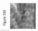 Fig. 191 - Method for reducing swell potential of expansive clayey soil with nano-level constitutive modeling