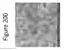 Fig. 201 - Method for reducing swell potential of expansive clayey soil with nano-level constitutive modeling