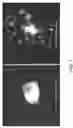 Fig. 40 - Systems and methods for biomimetic fluid processing