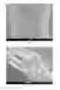 Fig. 02 - BIOPAPERS AS A SUBSTRATE FOR TISSUE CULTURE