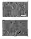 Fig. 09 - BIOPAPERS AS A SUBSTRATE FOR TISSUE CULTURE