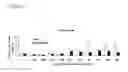 Fig. 02 - Methods for making definitive endoderm using at least GDF-8