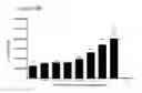 Fig. 40 - Differentiation of pluripotent stem cells