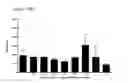 Fig. 76 - Differentiation of pluripotent stem cells