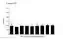 Fig. 77 - Differentiation of pluripotent stem cells