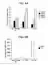 Fig. 09 - DEFINED MEDIA FOR EXPANSION AND MAINTENANCE OF PLURIPOTENT STEM CELLS