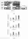 Fig. 06 - Engineered tissue constructs