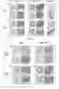 Fig. 07 - Engineered tissue constructs