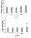 Fig. 13 - Method for making and using cold atmospheric plasma stimulated media for cancer treatment