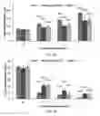 Fig. 20 - Method for making and using cold atmospheric plasma stimulated media for cancer treatment
