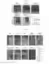 Fig. 06 - TUNING BACTERIOPHAGE HOST RANGE