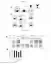 Fig. 09 - TUNING BACTERIOPHAGE HOST RANGE
