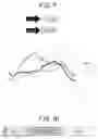 Fig. 09 - SPLIT RECOMBINANT LUCIFERASE, AND ANALYSIS METHOD USING THEREOF