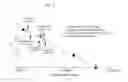 Fig. 04 - Ref nuclease for site specific Ref-mediated DNA cleavage