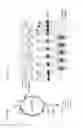Fig. 05 - Ref nuclease for site specific Ref-mediated DNA cleavage