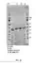 Fig. 09 - Cellulase having improved thermostability