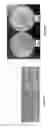 Fig. 07 - COMPOSITION AND METHOD FOR DIVERSIFYING POLYPEPTIDE LIBRARIES