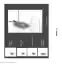 Fig. 10 - COMPOSITION AND METHOD FOR DIVERSIFYING POLYPEPTIDE LIBRARIES