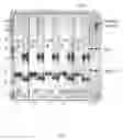 Fig. 04 - Method for rapidly screening microbial hosts to identify certain strains with improved yield and/or quality in the expression of heterologous proteins