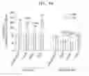 Fig. 08 - Method of separating senescent cells using overexpression of protocadherin