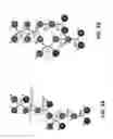 Fig. 05 - Recombinant microorganisms capable of carbon fixation