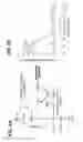 Fig. 06 - Recombinant microorganisms capable of carbon fixation