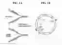 Fig. 02 - Methods of introducing nucleic acids into cellular DNA